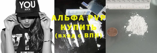 прущие грибы Баксан