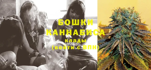 прущие грибы Баксан