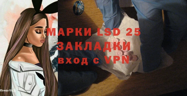 прущие грибы Баксан