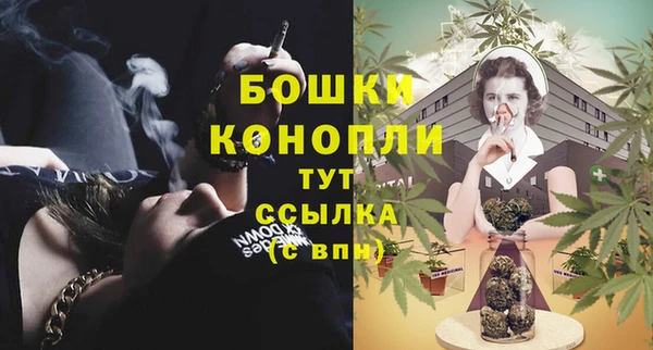 прущие грибы Баксан