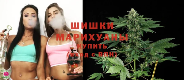 прущие грибы Баксан
