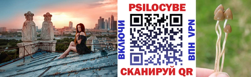сколько стоит  Армавир  Галлюциногенные грибы прущие грибы 