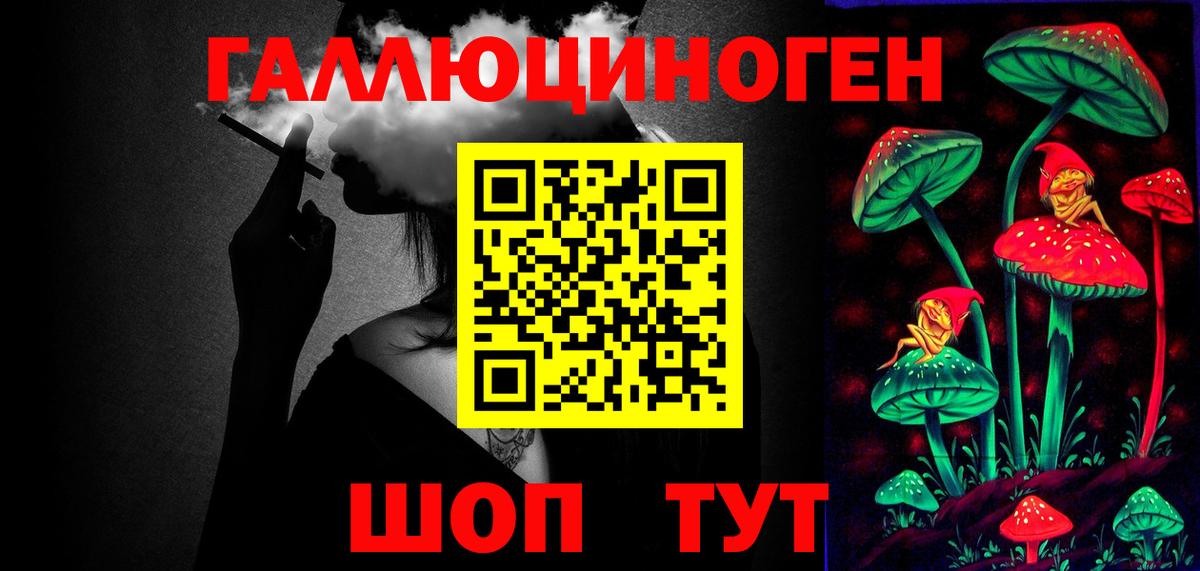 Армавир  Псилоцибиновые грибы Psilocybine cubensis  Псилоцибиновые грибы Cubensis  Вход с VPN 